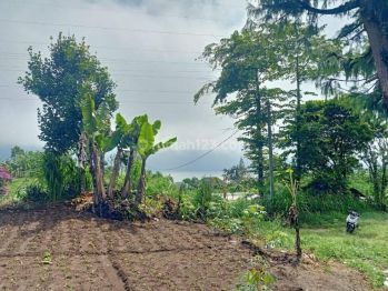 Dijual tanah di Bedugul tabanan