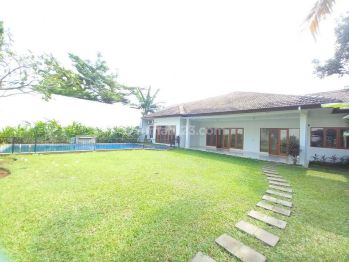 For Rent House Disewakan Rumah Bangunan 1 Lantai Nyaman Asri Dan Dekat Kemang