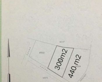 Tanah Cocok Untuk Villa di Tegal Cupek- Kerobokan