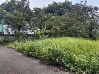 Tanah Prospek Cocok untuk Kos dekat UNNES