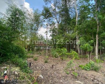 Punya Budget Mepet Tapi Ingin Beli Rumah ,postingan Ini Solusinya