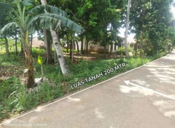 Jual tanah kebun nurah banyak pohon buah nya