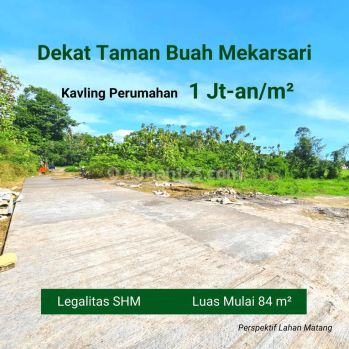 Diskon 50jutaan. Free SHM