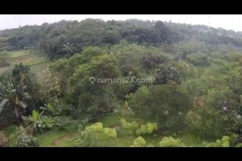 Tanah di Citeureup, Bogor Luas 53,717 SHM, Lokasi hanya 2 km dari pintu Toll, 4