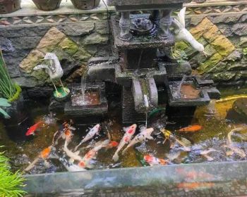 Dijual Murah Rumah Istimewa Semi Furnished di Dekat UMY & Alma Ata