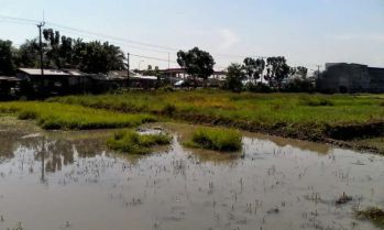 TANAH SUPER STRATEGIS PINGGIR JALAN