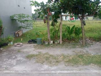 Sell Tanah: Dijual tanah murah