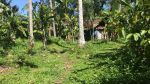 thumbnail-tanah-murah-dengan-view-sawah-di-tabanan-bali-3