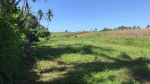 thumbnail-tanah-murah-dengan-view-sawah-di-tabanan-bali-5