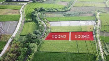 Hot List Di Jual Tanah Kavling Lokasi Tibubiu Kerambitan Tabanan