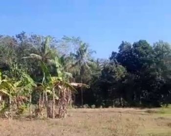 Tanah Dijual view sungai dan perbukitan dekat pasar Nanggulan
