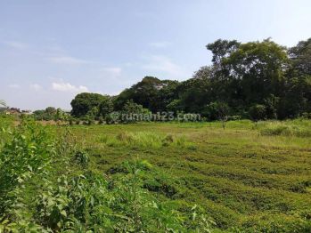Tanah Hutan Kota Belanda Strategis Di Jejalenjaya Tambun Utara Bekasi