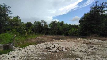 Murah Pasar Pleret, Tanah Hunian 1 Jutaan