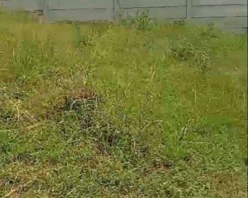 Tanah Dekat Gunung Salak, Tamansari , Bogor