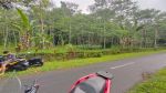 thumbnail-dijual-lahan-murah-di-taro-gianyar-view-hutan-6