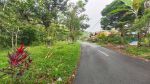 thumbnail-dijual-lahan-murah-di-taro-gianyar-view-hutan-12