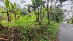 thumbnail-dijual-lahan-murah-di-taro-gianyar-view-hutan-9