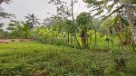 thumbnail-dijual-lahan-murah-di-taro-gianyar-view-hutan-10