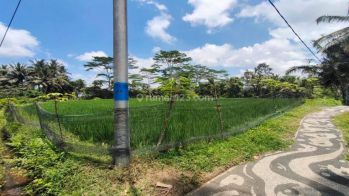 Dijual tanah di Kendran utara The Kayon view pemukiman