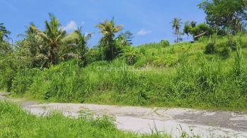 Dijual Tanah lingkungan asri di timur ubud view sawah