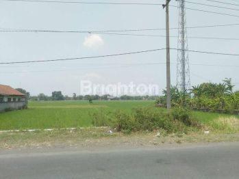 TANAH SAWAH SUDAH ZONA KUNING 0 JALAN RAYA DI PERAK JOMBANG