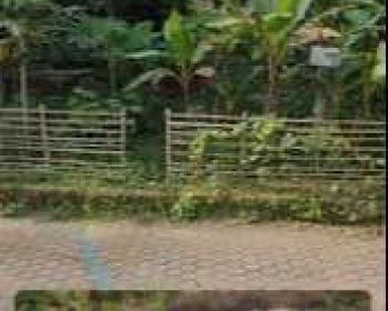 (TURUN HARGA) Jual Tanah Di Tempel