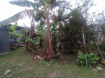 TANAH SIAP BANGUN DI TANAH BARU DEPOK, PINGGIR JALAN UTAMA,AKSES LEBAR