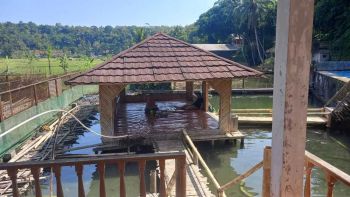 Jual Cepat Rumah Cocok untuk Guest House atau Pemancingan