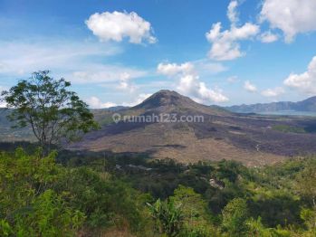 Sewa Tanah 40are full View Kaldera dan Danau Kintamani Bali