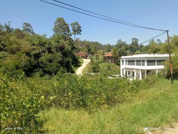 Dijual tanah luas 3.250 meter legalitas sertifikat lokasi ciwidey