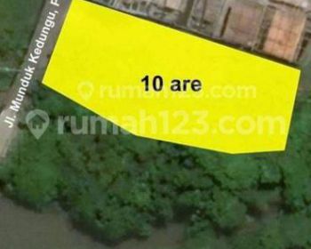 Dijual tanah hanya 200 meter dari pantai pererenan Canggu bali