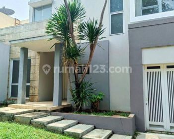 Disewakan Rumah Besar di Cajuputi De Park Bsd