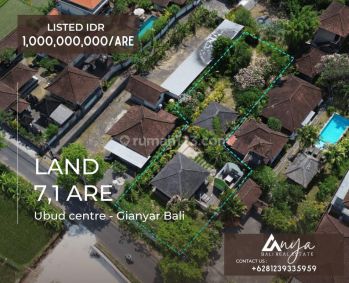 Dijual Tanah Hak Milik Seluas 7,1 Are Lokasi Dipusat Ubud Bali, Berada Ditengah