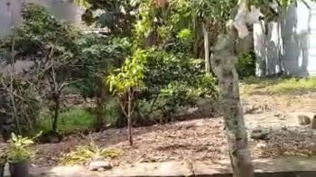 Termurah tanah di Bunga-bunga 217 m² SHM cocok dibangun kost