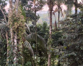 tanah pinggir sungai siap bangun