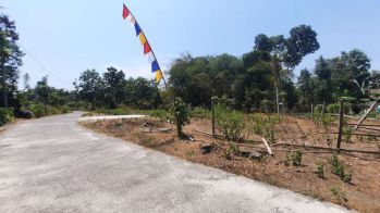 Tanah Dijual di Prambanan Klaten, Jawa Tengah
