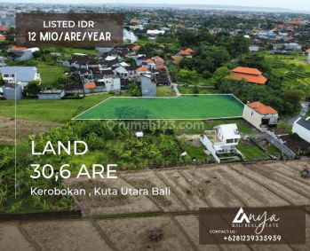 Lease Hold Tanah Seluas 30.6 Are, Dry Land Itr Yellow Zone di Kerobokan