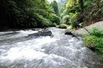 thumbnail-tanah-murah-bagus-buahan-kaja-payanagan-ubud-gianyar-bali-7