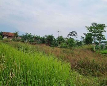 Dijual Tanah di Rancawaas Sukamukti Majalaya