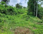 thumbnail-dijual-sawah-kebun-alpukat-21-ha-palasarihilir-parungkuda-sukabumi-5