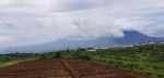 thumbnail-tanah-kebun-karangploso-batu-malang-3