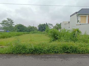 Tanah Strategis Jalan Flamboyan / Utara Jalan Gito Gati Sariharjo