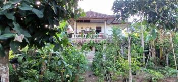 Jarang Ada! Rumah kan Murah di Pinggir Jalan Utama Goa Gong, Ungasan.