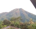 thumbnail-vila-dan-kebun-di-gunung-salak-kab-bogor-11