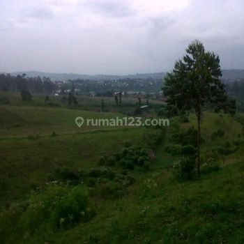 Tanah di Jl Parongpong SHM