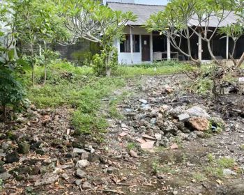 Dijual tanah Murah dekat Kampus unud