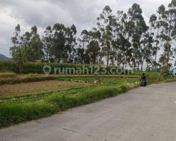 Dijual tanah pinggir jalan ciwidey cocok untuk vila kebun