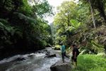 thumbnail-tanah-payangan-ubud-view-gunung-dan-sungai-hutan-3