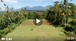 thumbnail-tanah-payangan-ubud-view-gunung-dan-sungai-hutan-0