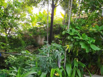 Dijual Tanah Harga Dibawah Harga NJOP di Ciganjur Jakarta Selatan